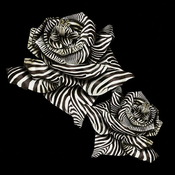 Panel Roberto Cavalli RC19116