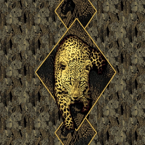 Panel Roberto Cavalli RC19119