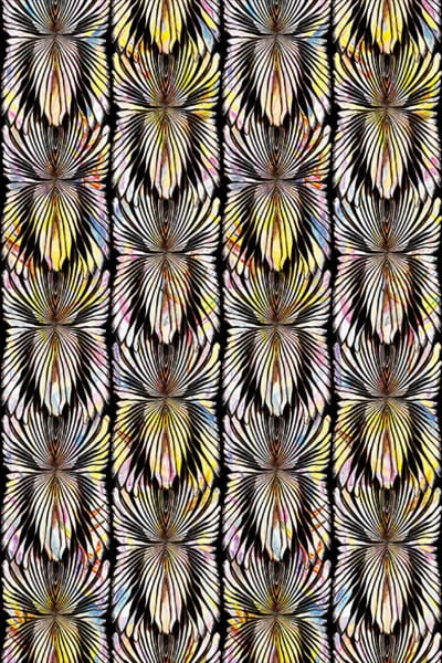Panel Roberto Cavalli RC19122