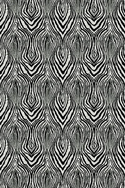 Panel Roberto Cavalli RC19123
