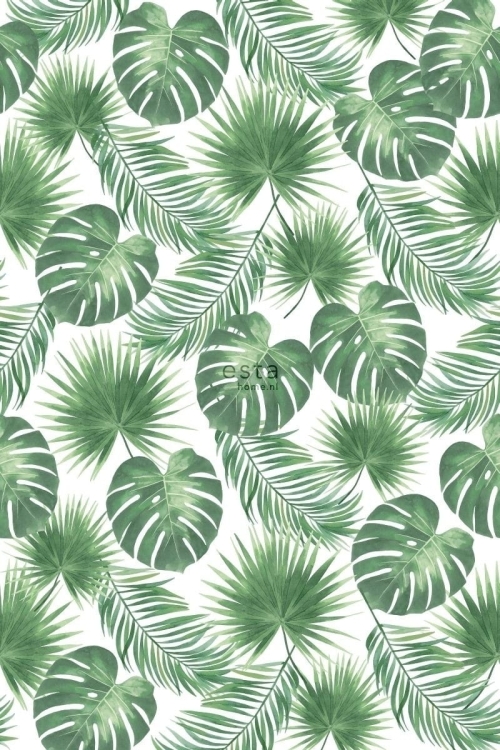 fototapeta 158897 mural - liście palmy, monstera