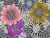 tapeta ekskluzywna 10001 Missoni Home anemones