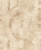 tapeta 554762