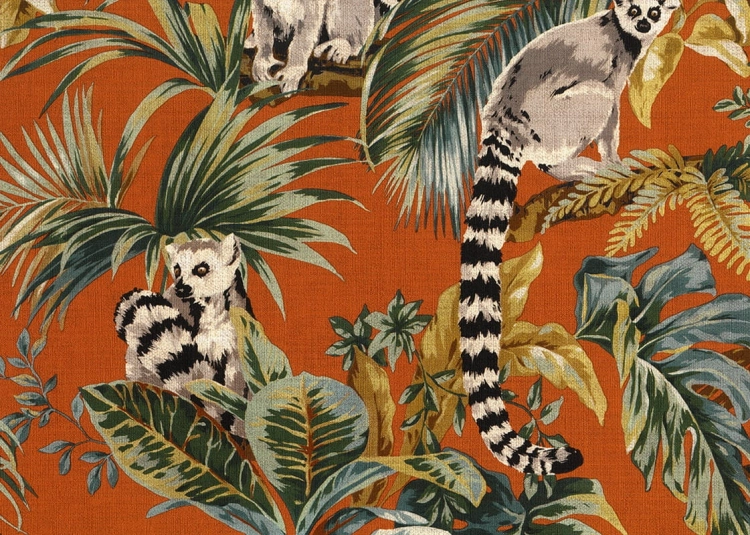 tapeta 6503 Lemuri