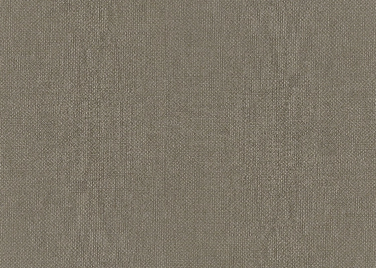 tapeta 6553 Unito Baobab