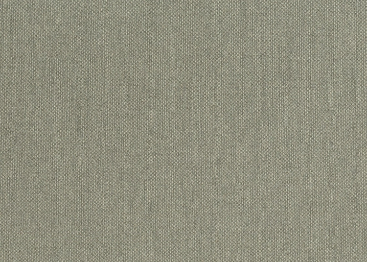 tapeta 6554 Unito Baobab