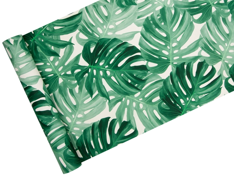 tapeta 403817 monstera roślina tropikalna
