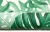 tapeta 403817 monstera roślina tropikalna