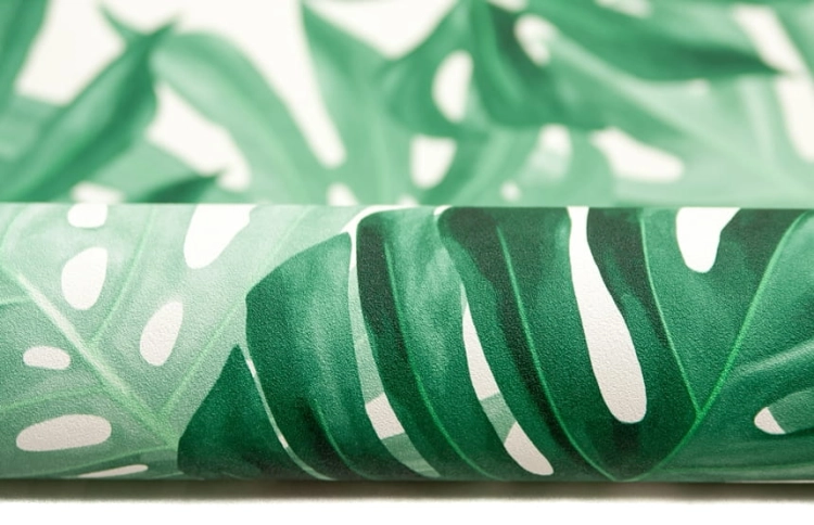 tapeta 403817 monstera roślina tropikalna