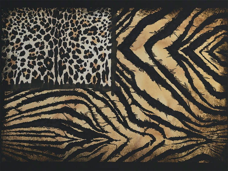 Panel Roberto Cavalli RC19101