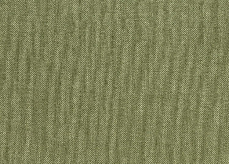 tapeta 6555 Unito Baobab