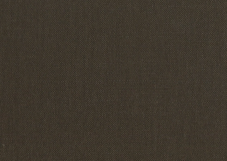 tapeta 6562 Unito Baobab