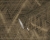 tapeta 38824-5
