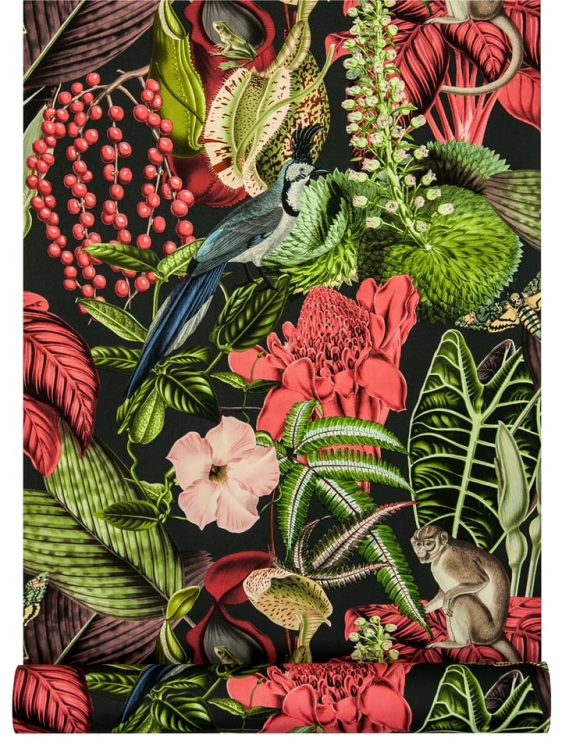 tapeta JF2201 surrealistyczna ilustracja z hibiskusem