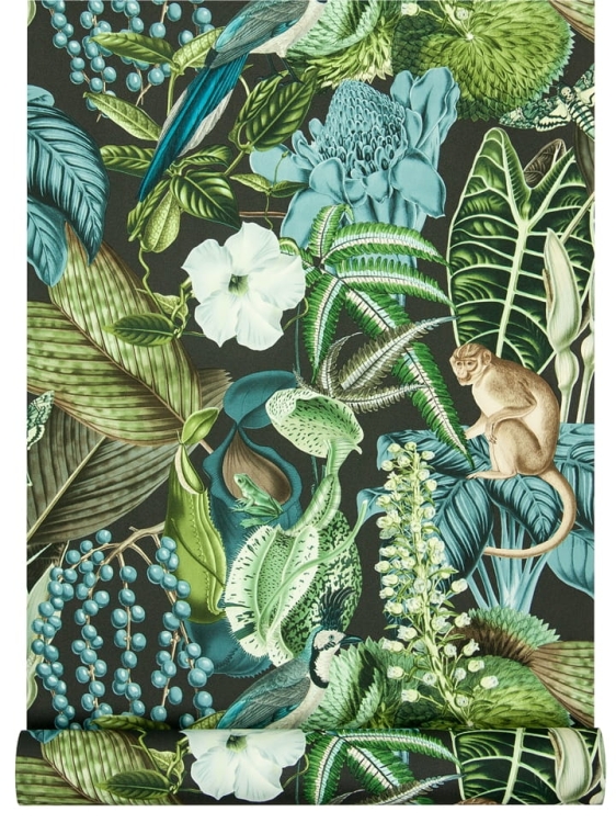 tapeta JF2202 surrealistyczna ilustracja z hibiskusem