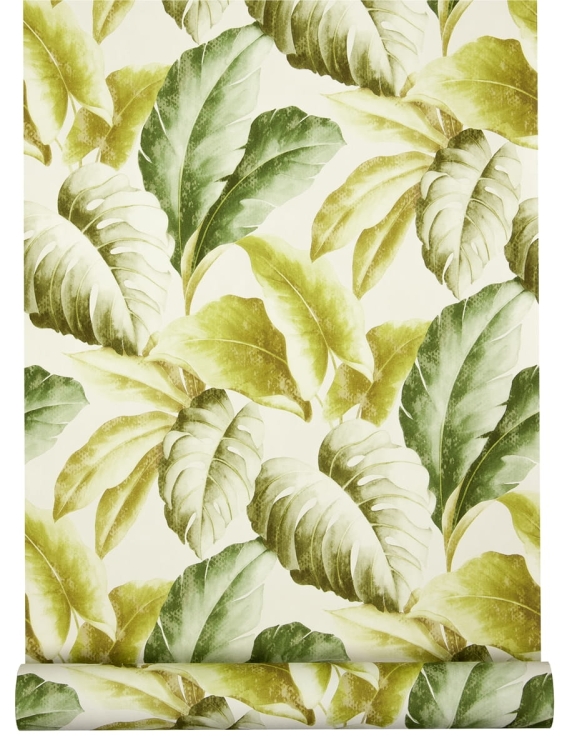 Botanical nr BA2401 tapety ścienne