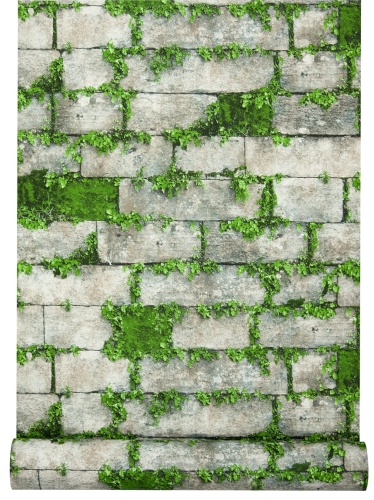 tapeta L56804 stary mur porośnięty mchem
