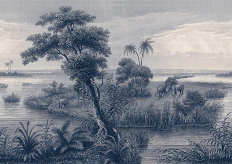 mural 556117