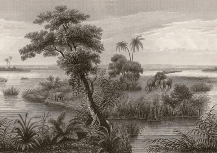 mural 556131