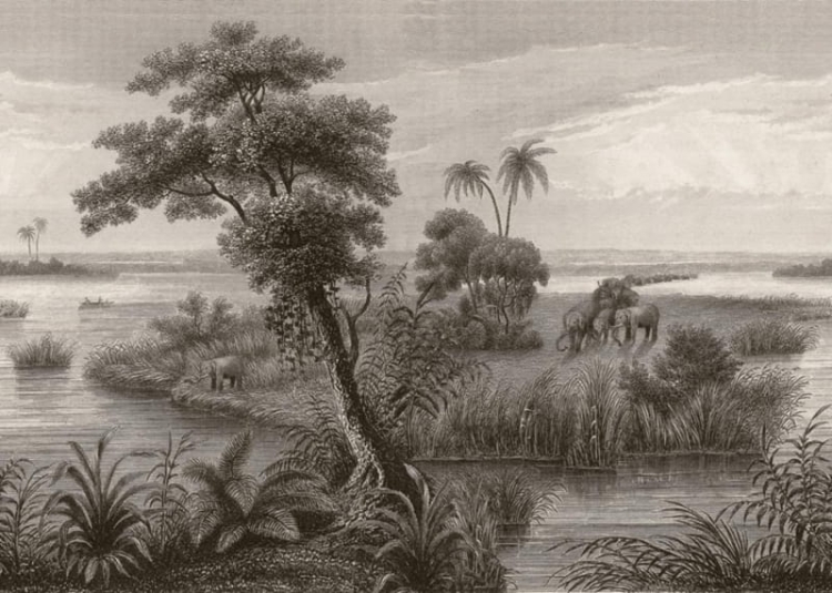 mural 556148