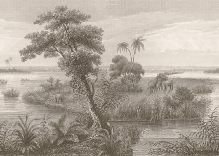 mural 556162