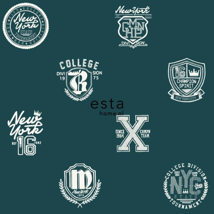 College nr 141-138825 tapeta młodzieżowa