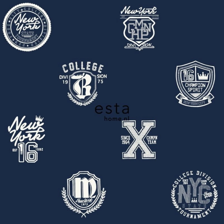 College nr 141-138826 tapeta młodzieżowa