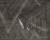 tapeta 38824-1