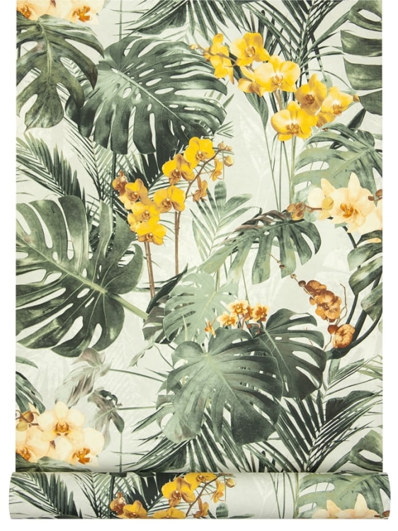 tapeta MY2101 monstera i storczyki