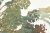 Tapeta 867329 w Pieknie Cieniowane Drzewa