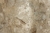 q002-20231219-175701.jpg