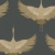 34532.jpg