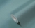 306884_c.jpg