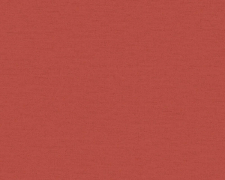 371785.jpg