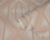 395315_c.jpg