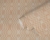 395345_c.jpg