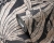 395011_c.jpg