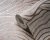 395071_c.jpg