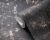 395115_c.jpg