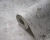 395160_c.jpg