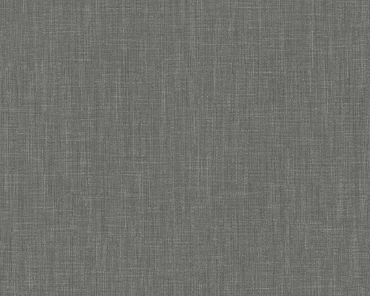 369223.jpg
