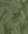 A70203.jpg