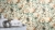 tapeta 485134 w piwonie