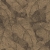 720570.jpg