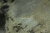 Tapeta-Winylowa-Flizelina-Marmur-Dekoracyjny-Tynk-Rustykalny-Czarny-51608-Marka-bez-marki.jpg