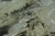 Tapeta-Winylowa-Flizelina-Marmur-Dekoracyjny-Tynk-Rustykalny-Czarny-51608-Rodzaj-winylowa-na-flizelinie.jpg