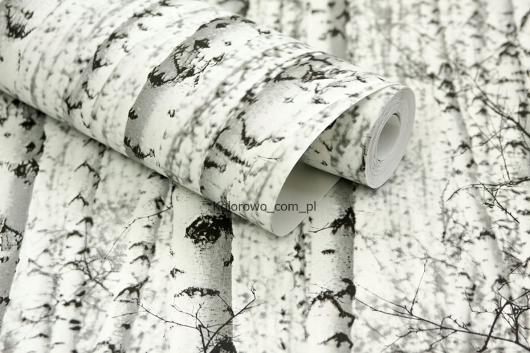 Tapeta-skandynawska-w-brzozy-LAS-BRZOZOWY-jak-fototapeta-Kod-producenta-38854_1.jpg