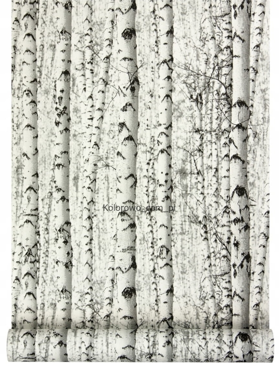 Tapeta-skandynawska-w-brzozy-LAS-BRZOZOWY-jak-fototapeta-EAN-GTIN-4051315573112.jpg
