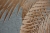 Tapeta-Roslinna-Liscie-Palm-na-Flizelinie-Szare-tlo-Marka-AS-Creation.jpg