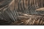 Tapeta-Roslinna-Liscie-Palm-Winyl-na-Flizelinie-Kod-producenta-39981-2.jpg